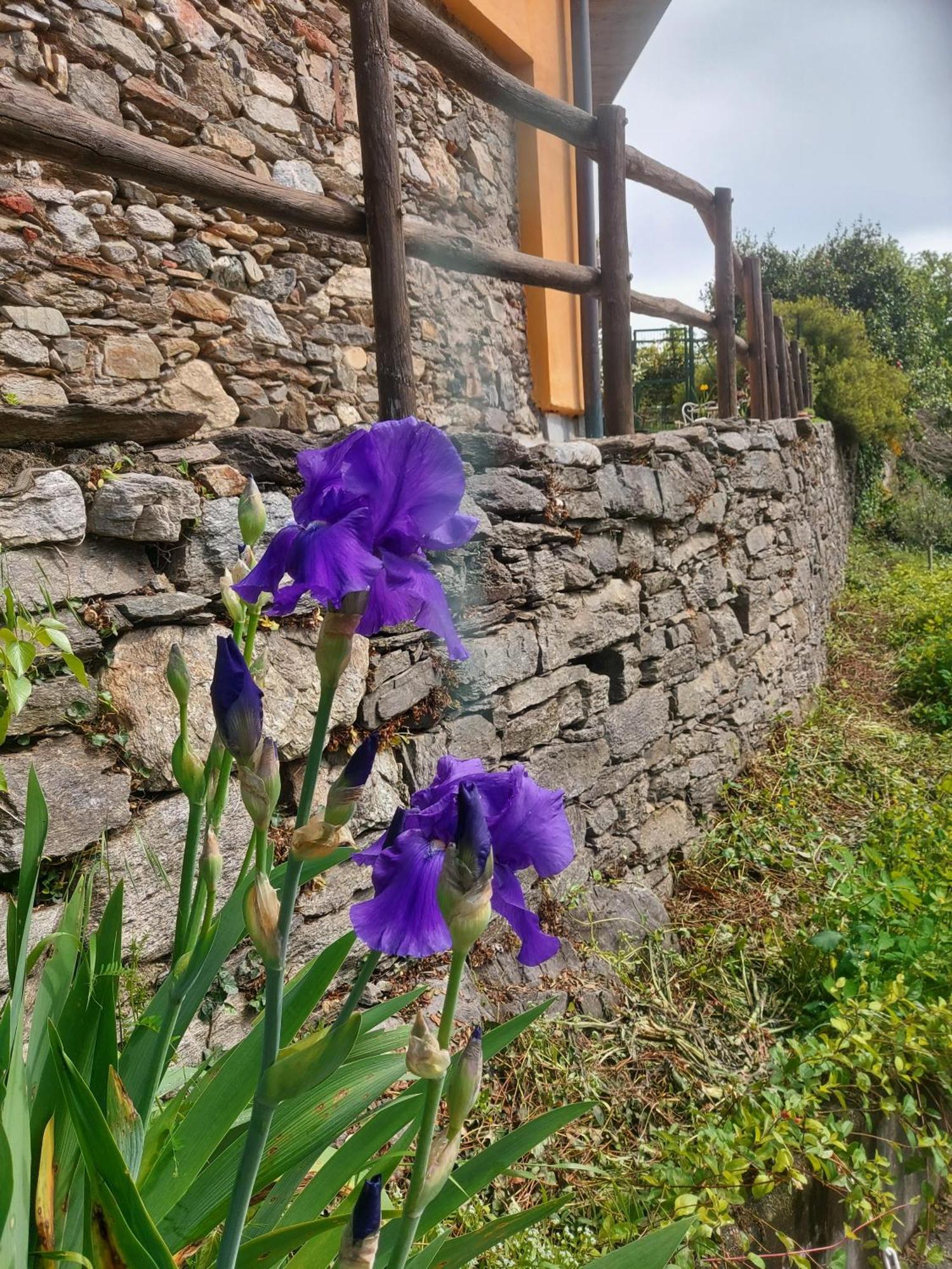La Nave B&B Monteggio Luaran gambar